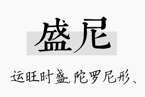 盛尼名字的寓意及含义