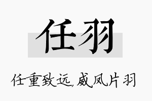 任羽名字的寓意及含义