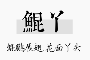 鲲丫名字的寓意及含义