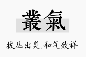 丛气名字的寓意及含义