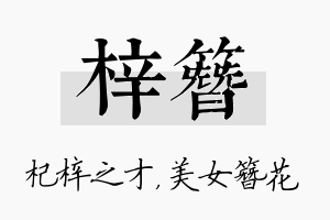 梓簪名字的寓意及含义