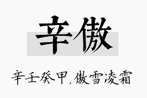 辛傲名字的寓意及含义