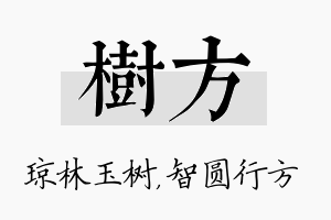 树方名字的寓意及含义