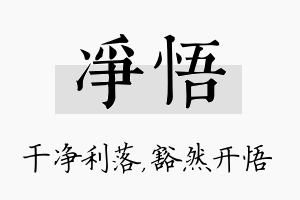 净悟名字的寓意及含义