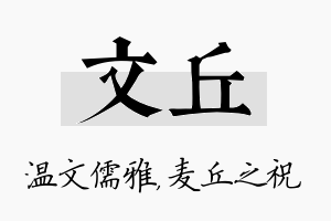 文丘名字的寓意及含义