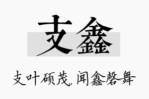 支鑫名字的寓意及含义