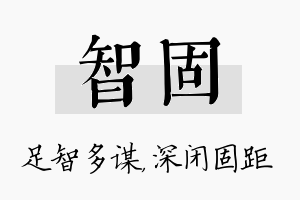 智固名字的寓意及含义