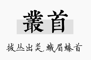 丛首名字的寓意及含义