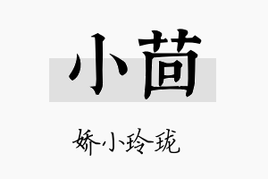 小茴名字的寓意及含义