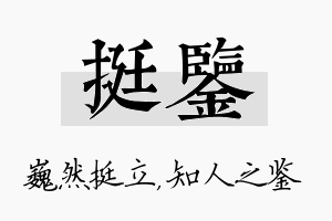 挺鉴名字的寓意及含义