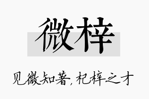 微梓名字的寓意及含义