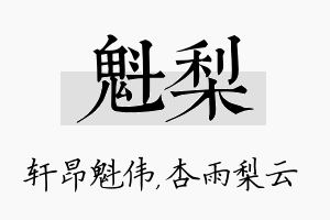 魁梨名字的寓意及含义