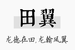 田翼名字的寓意及含义