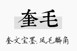 奎毛名字的寓意及含义