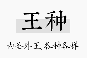 王种名字的寓意及含义