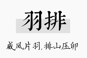 羽排名字的寓意及含义