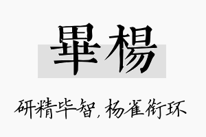 毕杨名字的寓意及含义