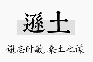 逊土名字的寓意及含义