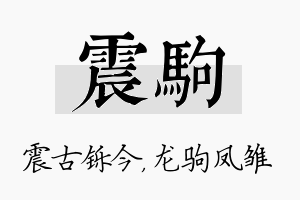 震驹名字的寓意及含义