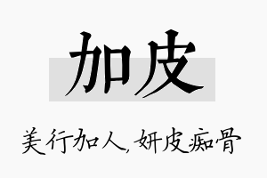 加皮名字的寓意及含义