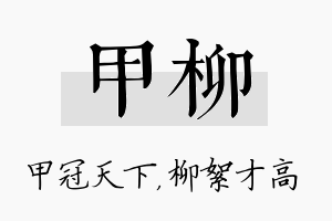 甲柳名字的寓意及含义