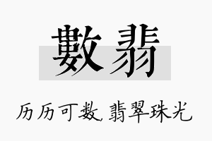 数翡名字的寓意及含义