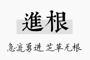 进根名字的寓意及含义