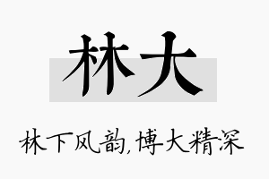 林大名字的寓意及含义