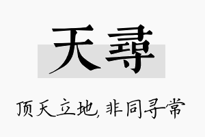 天寻名字的寓意及含义