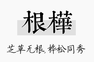 根桦名字的寓意及含义