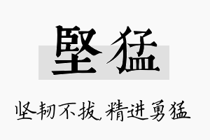 坚猛名字的寓意及含义