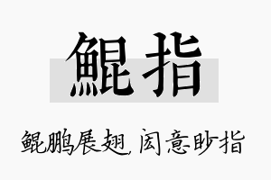 鲲指名字的寓意及含义