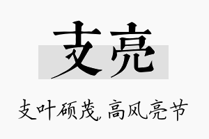 支亮名字的寓意及含义