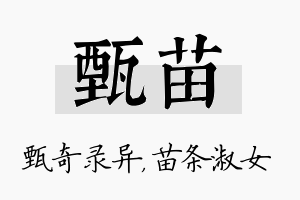 甄苗名字的寓意及含义