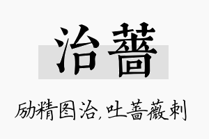 治蔷名字的寓意及含义