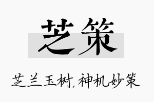 芝策名字的寓意及含义