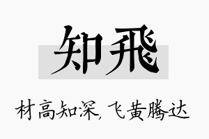 知飞名字的寓意及含义