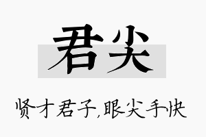 君尖名字的寓意及含义