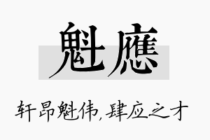 魁应名字的寓意及含义