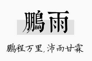 鹏雨名字的寓意及含义