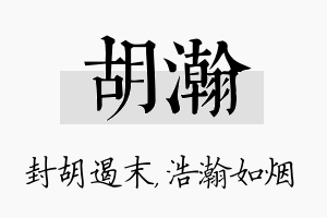 胡瀚名字的寓意及含义