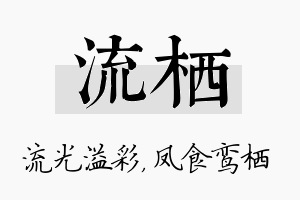 流栖名字的寓意及含义