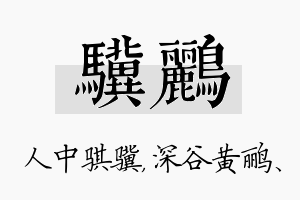 骥鹂名字的寓意及含义