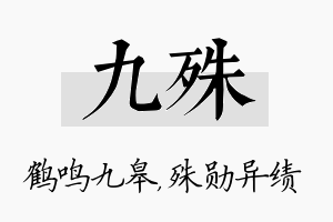 九殊名字的寓意及含义