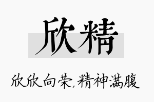 欣精名字的寓意及含义