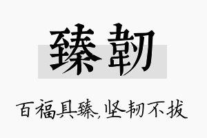 臻韧名字的寓意及含义