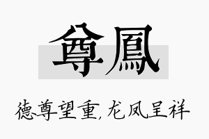 尊凤名字的寓意及含义