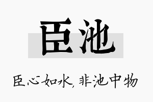 臣池名字的寓意及含义