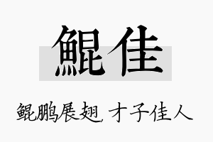 鲲佳名字的寓意及含义