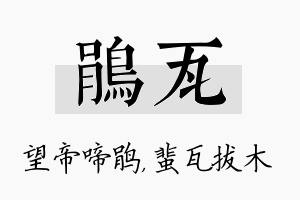 鹃瓦名字的寓意及含义